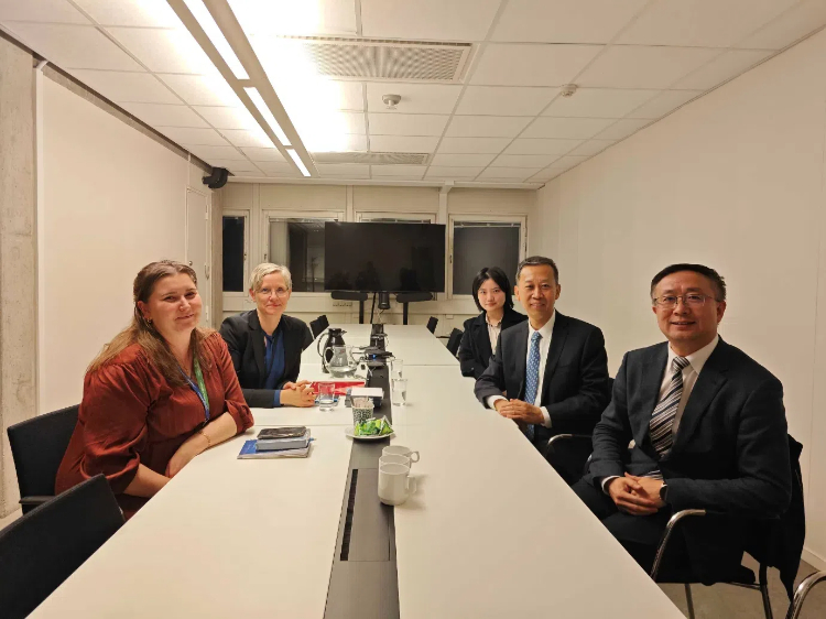 中國駐瑞典大使崔愛民會見瑞典聯(lián)合國教科文組織全國委員會秘書長。中國駐瑞典大使館供圖