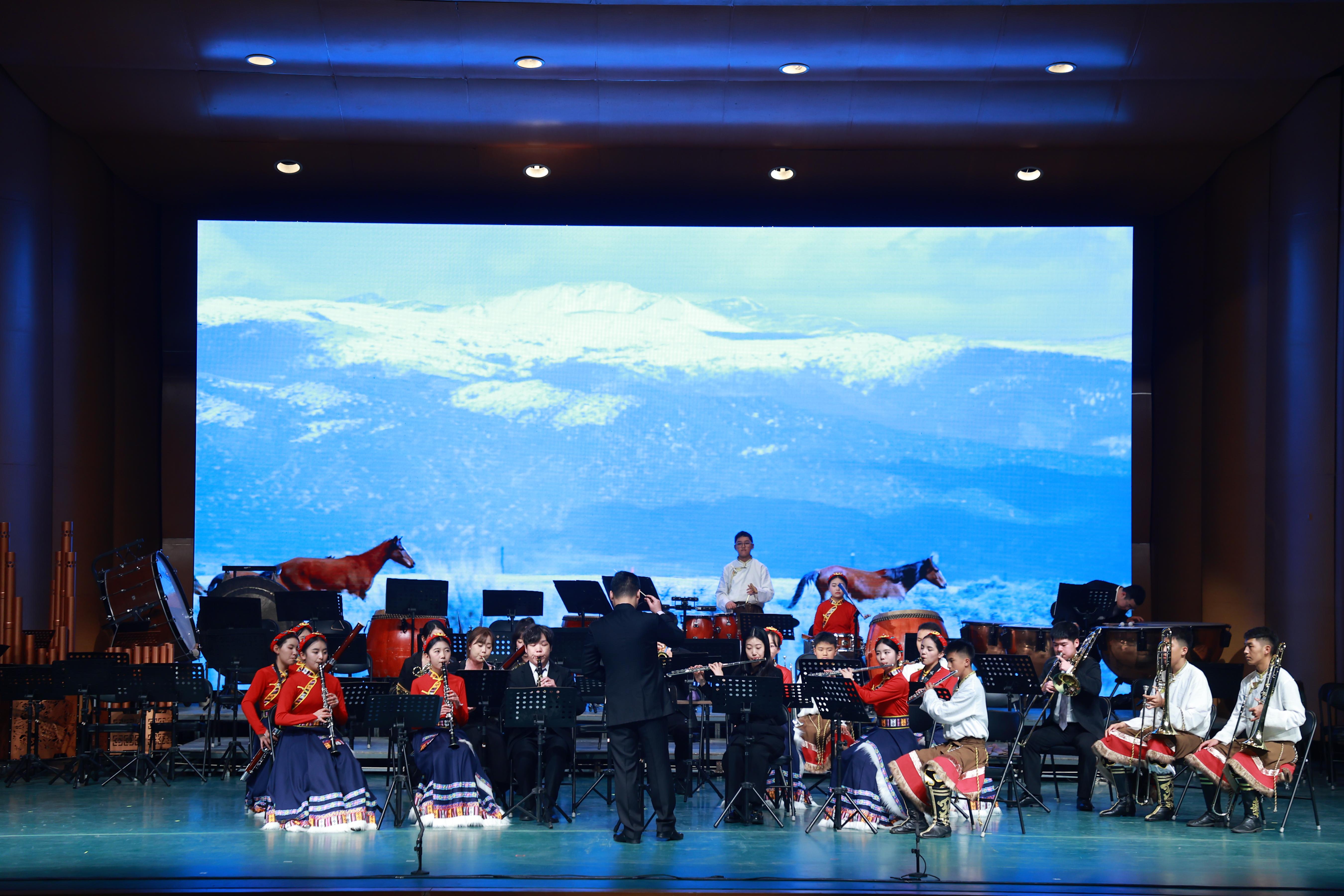 音樂會展演現(xiàn)場。(主辦方供圖)