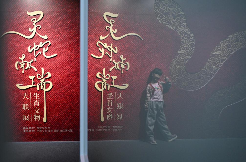 1月18日，一名小朋友在國家自然博物館舉辦的“靈蛇獻(xiàn)瑞——2025乙巳蛇年生肖文物大聯(lián)展”展覽中拍照留念。（新華社記者 陳鐘昊 攝）