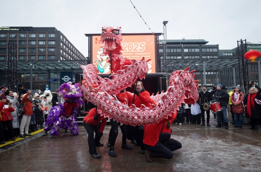 舞龍、舞獅表演。中國(guó)駐芬蘭大使館供圖