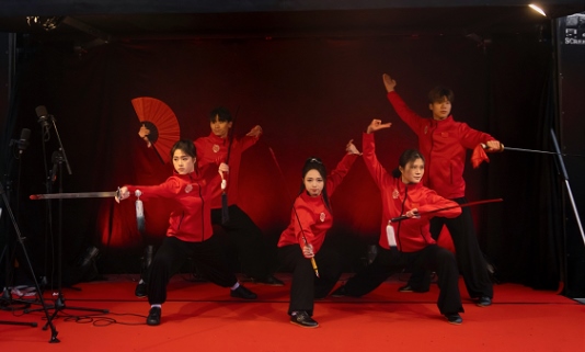 武術(shù)表演。中國(guó)駐芬蘭大使館供圖