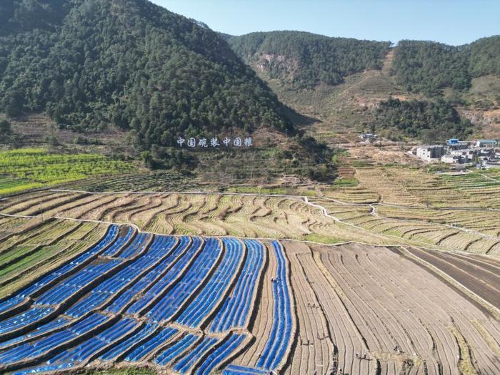 △近日，四川涼山一現(xiàn)代農(nóng)業(yè)園春耕育秧搶農(nóng)時。