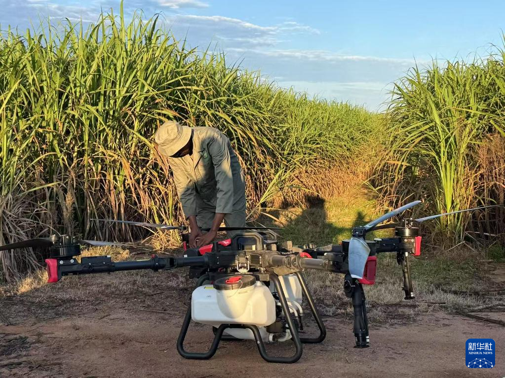3月25日，在南非夸祖魯-納塔爾省的方廷希爾莊園，工作人員為無人機(jī)做起飛作業(yè)前的準(zhǔn)備。新華社記者 白舸 攝