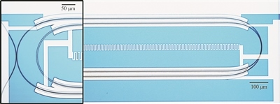 微波光量子傳感器的光學(xué)顯微照片。圖片來源：美國哈佛大學(xué)