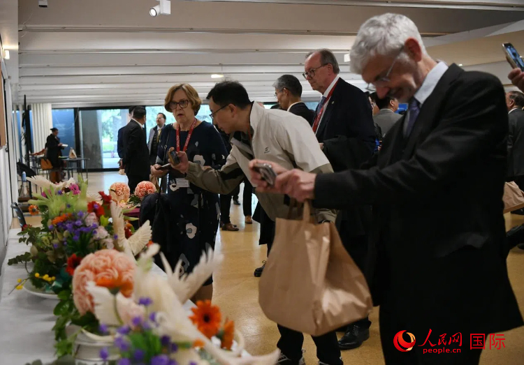 聯合國中文日慶?；顒蝇F場。人民網記者 于超凡攝