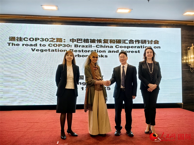 中國(guó)國(guó)家林業(yè)和草原局副局長(zhǎng)李云卿（右二）、巴西環(huán)境和氣候變化部部長(zhǎng)瑪麗娜·席爾瓦（左二）、巴西財(cái)政部副部長(zhǎng)羅熙丹（右一）、巴西駐華大使館公參樂(lè)美（左一）出席“通往COP30之路：中巴植樹(shù)造林和碳匯合作研討活動(dòng)”。人民網(wǎng)記者 符園園攝