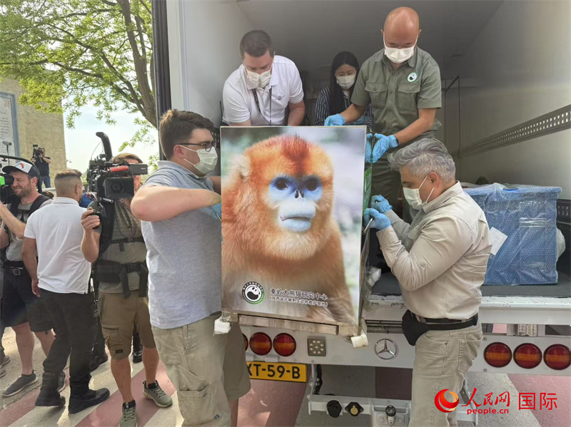 圖為活動現(xiàn)場。人民網(wǎng)記者 牛瑞飛攝