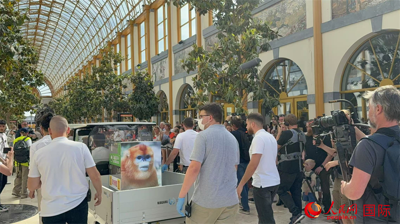 圖為活動現(xiàn)場。人民網(wǎng)記者 牛瑞飛攝