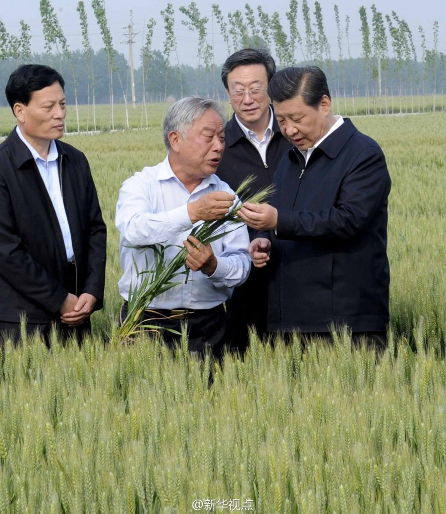 2014年5月，習(xí)近平總書記在河南省尉氏縣張市鎮(zhèn)高標(biāo)準(zhǔn)糧田察看小麥長勢。