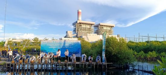 5月18日，中印尼嘉賓在爪哇7號燃煤電站舉行紅樹林補(bǔ)植儀式。記者 曹凱 攝